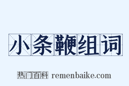 小条鞭组词是什么意思的图片